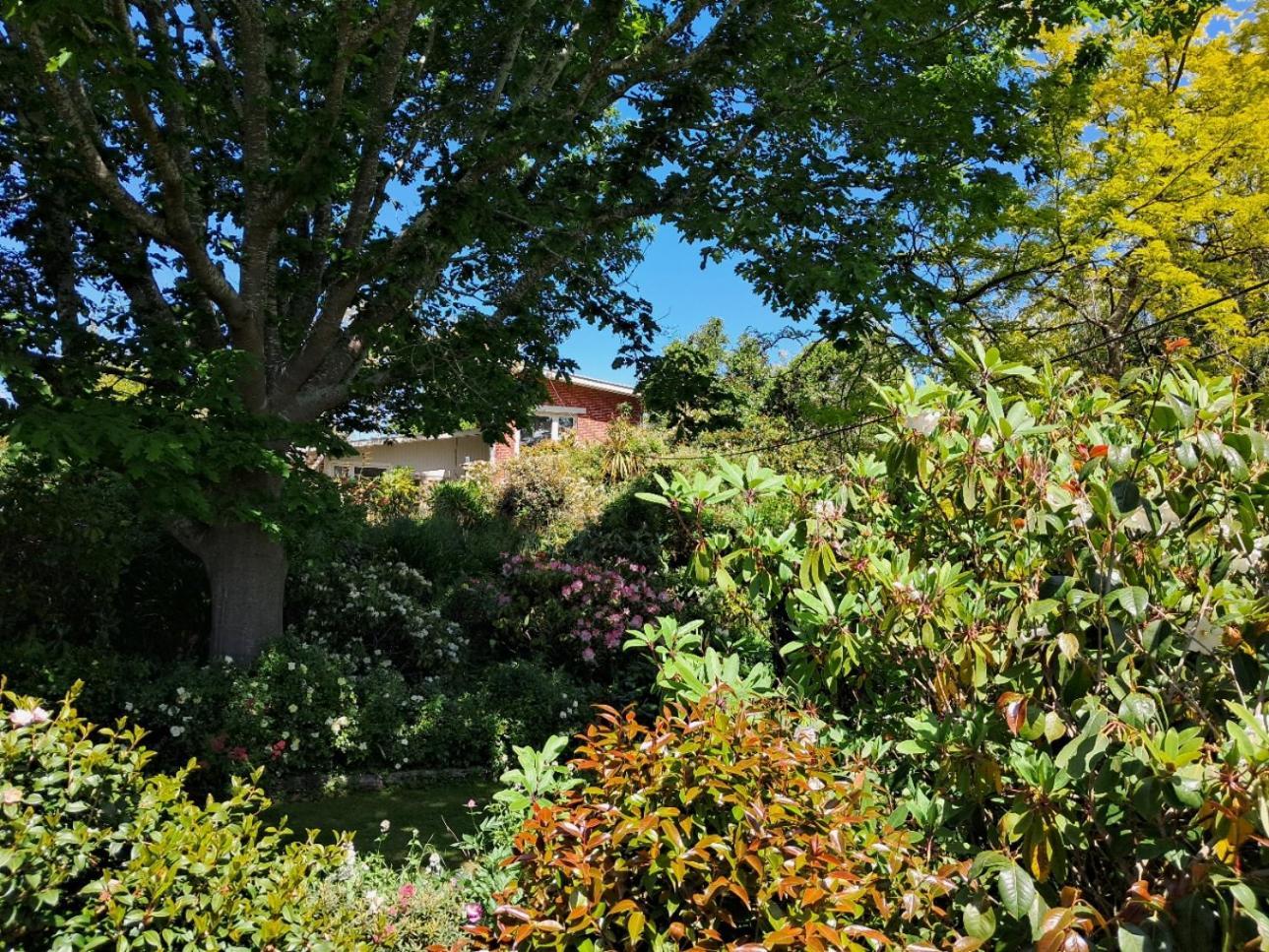 Bed and Breakfast Niloc Waimate Esterno foto